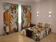 ФотоКомплект Тигры