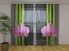 ФотоТюль Орхидеи и бамбук 2