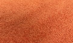 Carpet Hamilton coral