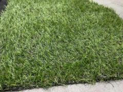 Land Grass 20