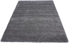 Carpet Loft Shaggy 0001-10 gray