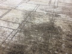 Килим Класичний килим Sila w2601 mavi beige