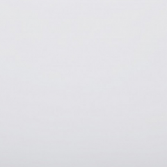 Столешница Werzalit by Gentas 800x1400 мм 3101 Белый