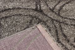 Carpet Wellness 4825 light gray dark
